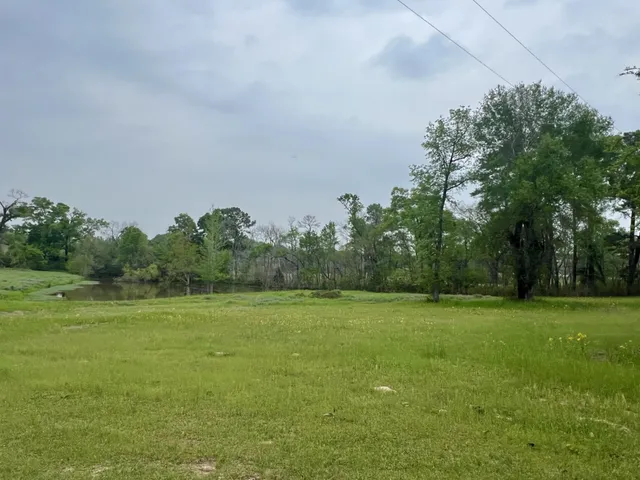 a view of a green field with trees in the background