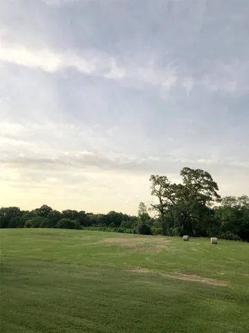 a view of a field with an ocean