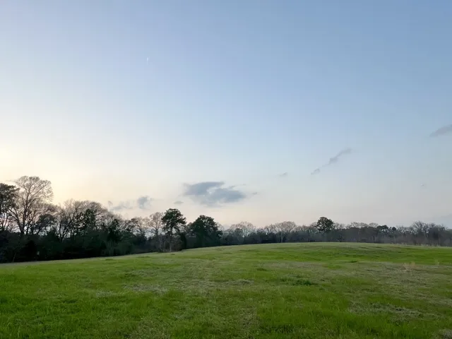 a view of grassy field with trees