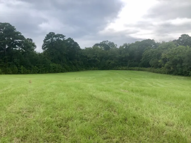 a view of a green yard with a house