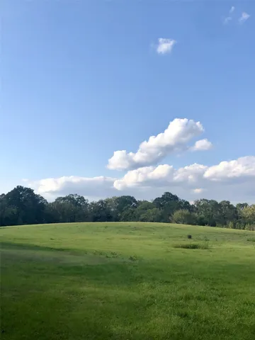 a view of a garden with an ocean
