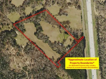 a view of a tree in a park