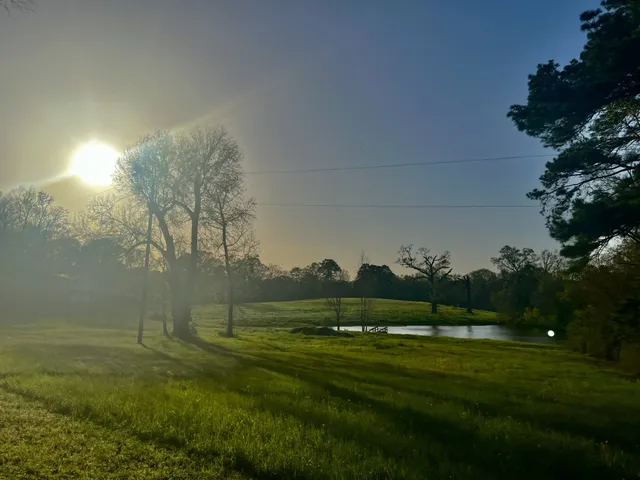 a view of grassy field with trees