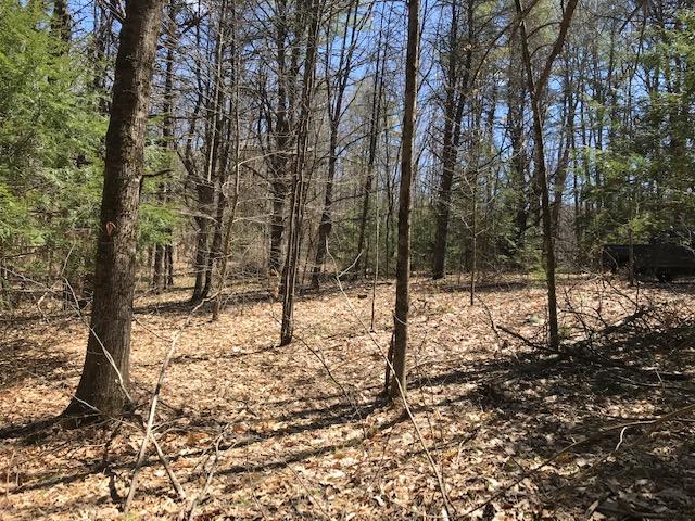 0 Lombard Hill Road Limerick, ME 04048 - Photo 20 of 22 IMG_5379