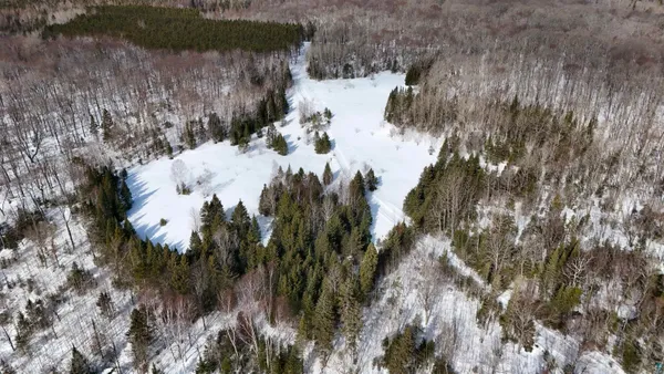 $90,000 | 38.7-acres Near 38.7-acres Near Namakagon Road, Mellen, WI 54546