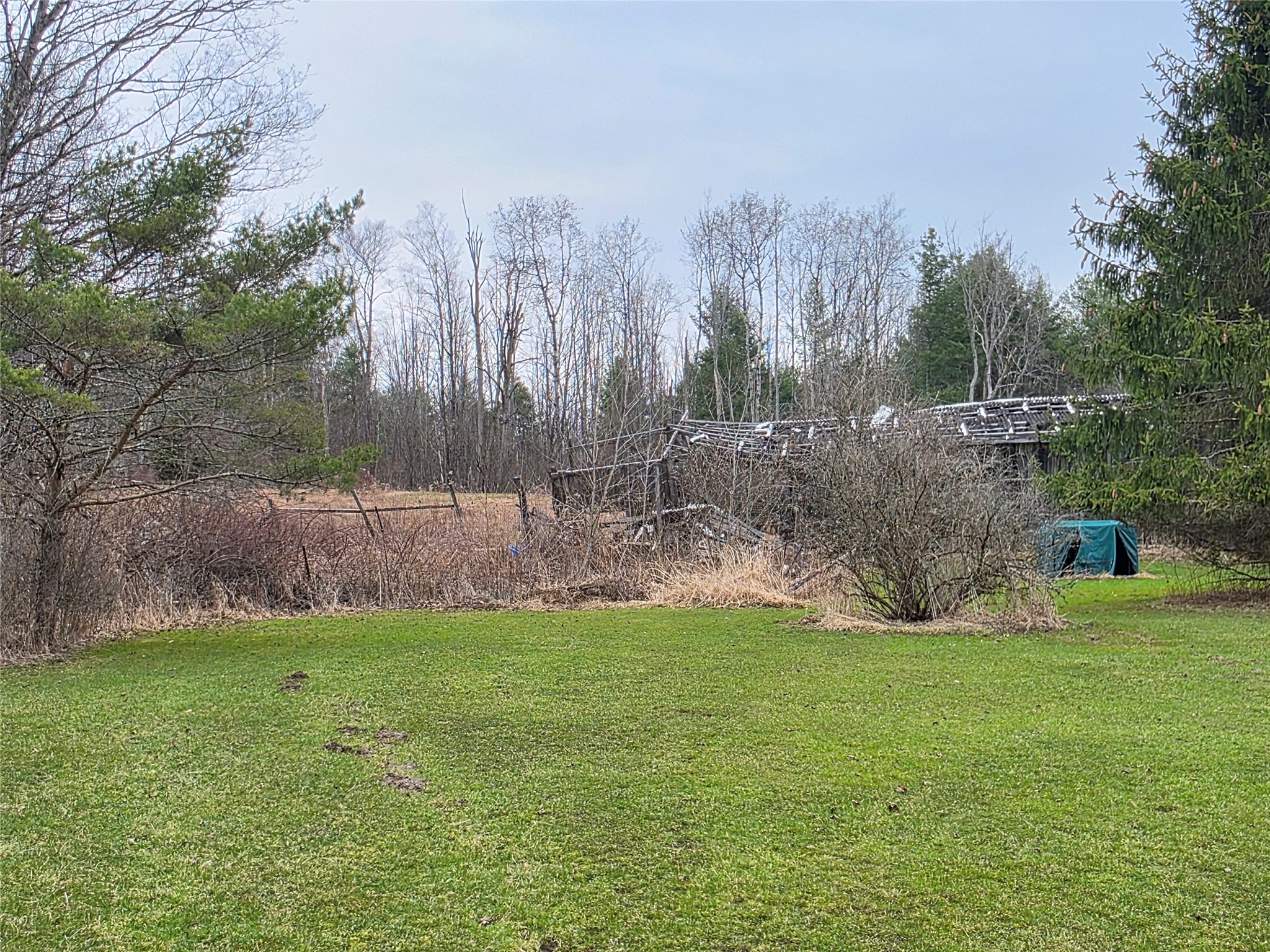 514 Crumtown Road Spencer, NY 14883 - Photo 41 of 49