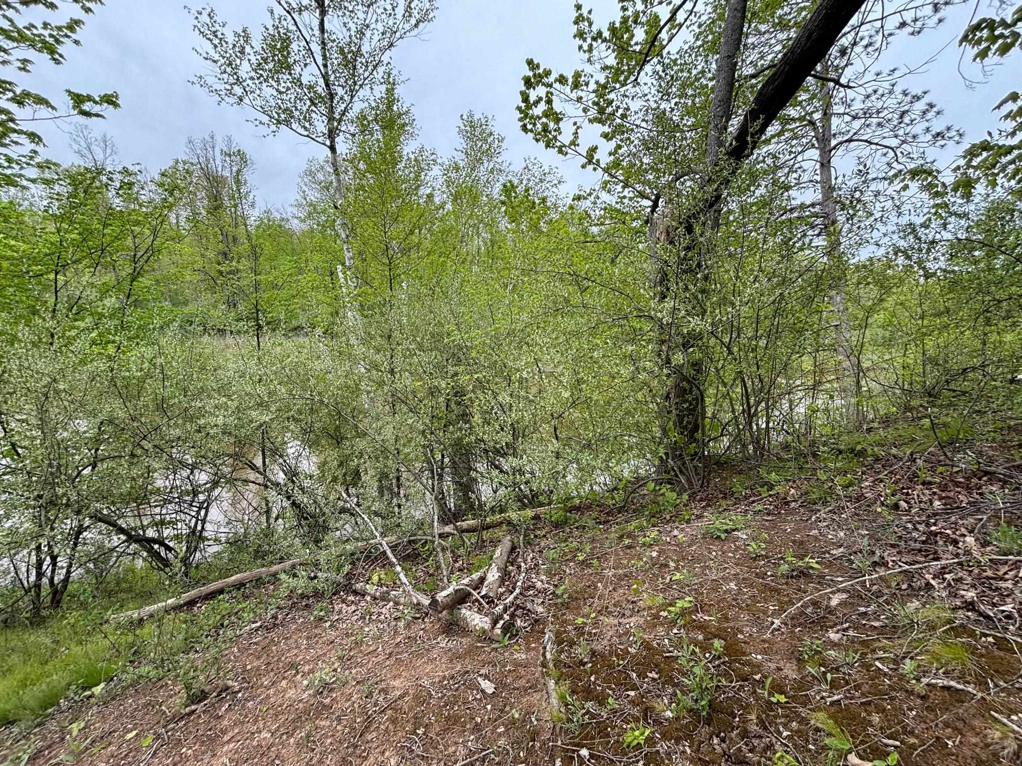 1240 Birch Ridge Road Gladwin, MI 48624 - Photo 28 of 41