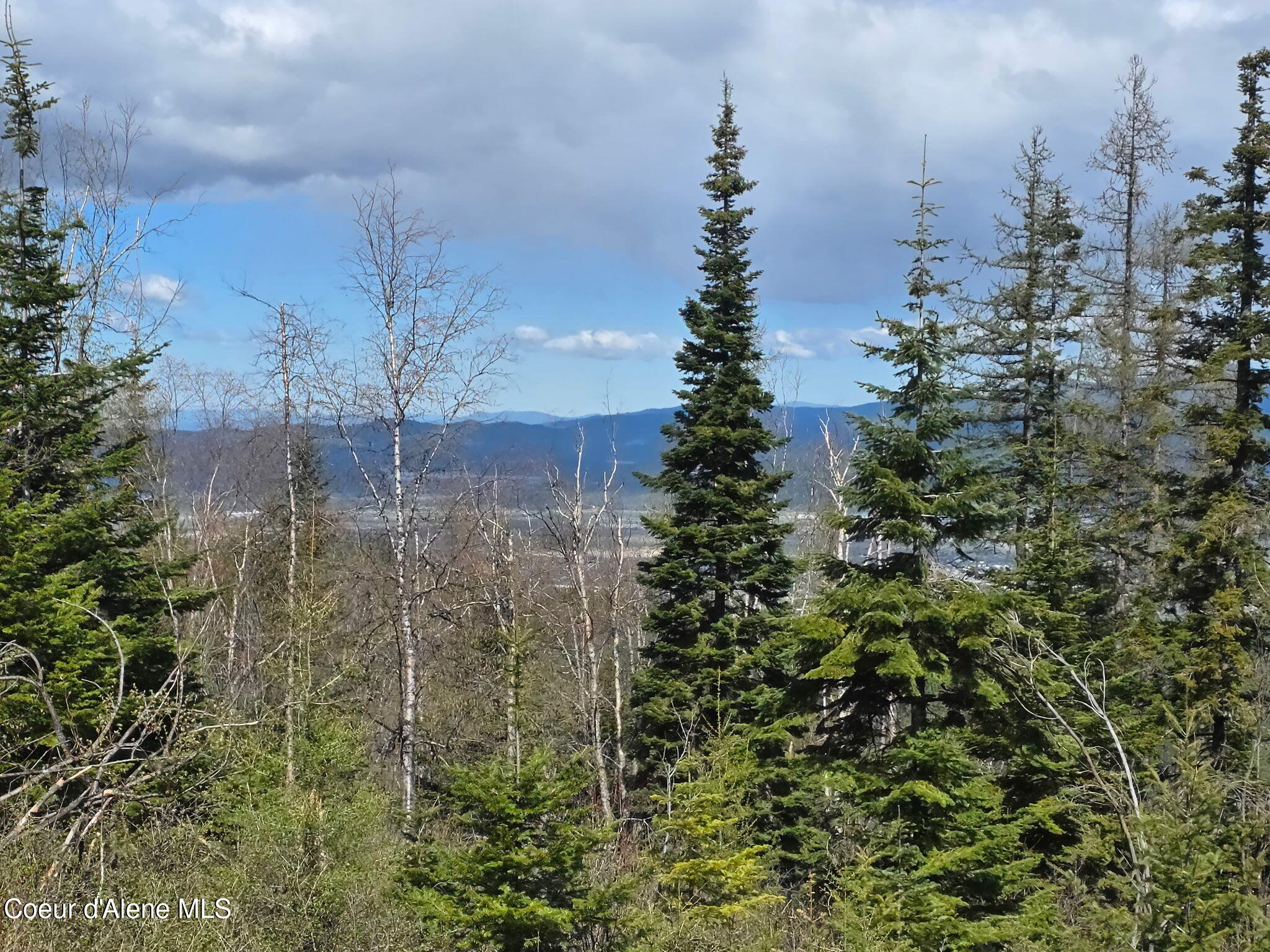 Nka Nka Blessing Hill Road Post Falls, ID 83854 - Photo 5 of 19 5