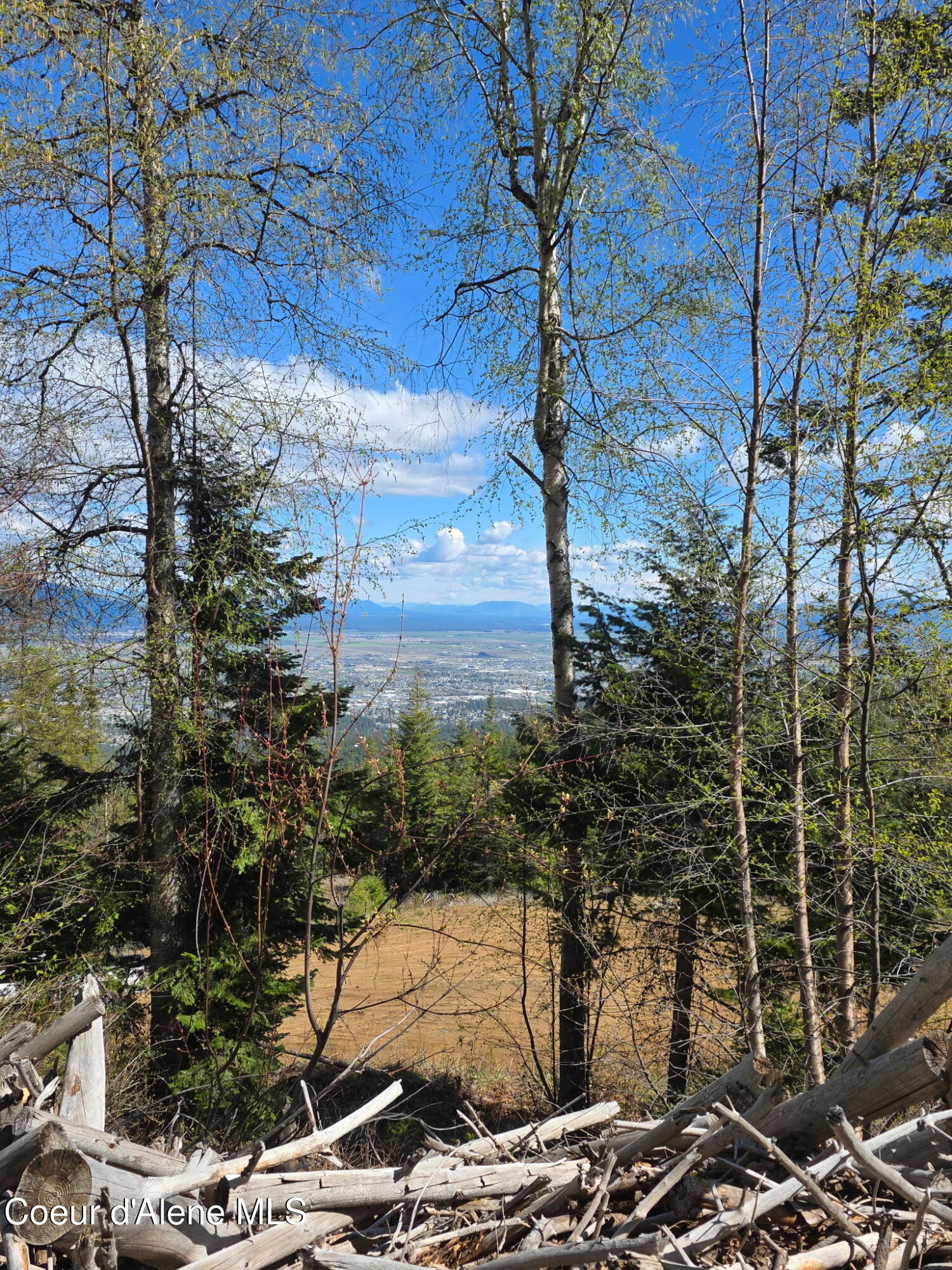 Nka Nka Blessing Hill Road Post Falls, ID 83854 - Photo 8 of 19 8