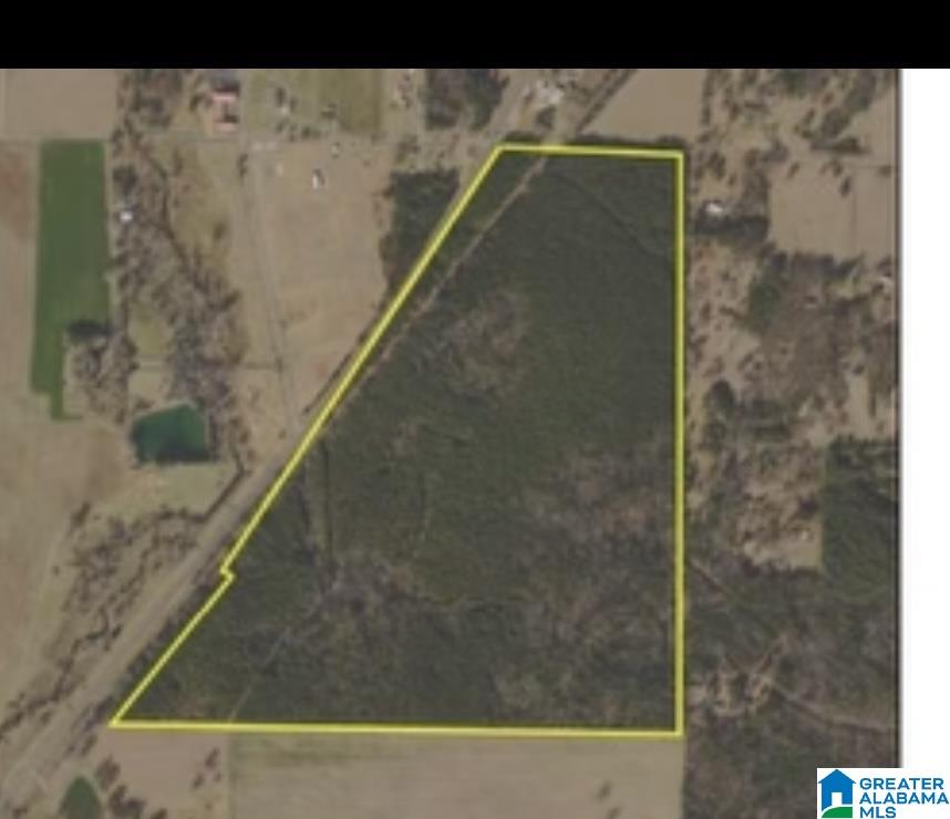 0 Curry Station Road Talladega, AL 35160 - Photo 1 of 1 Gallery Image 1