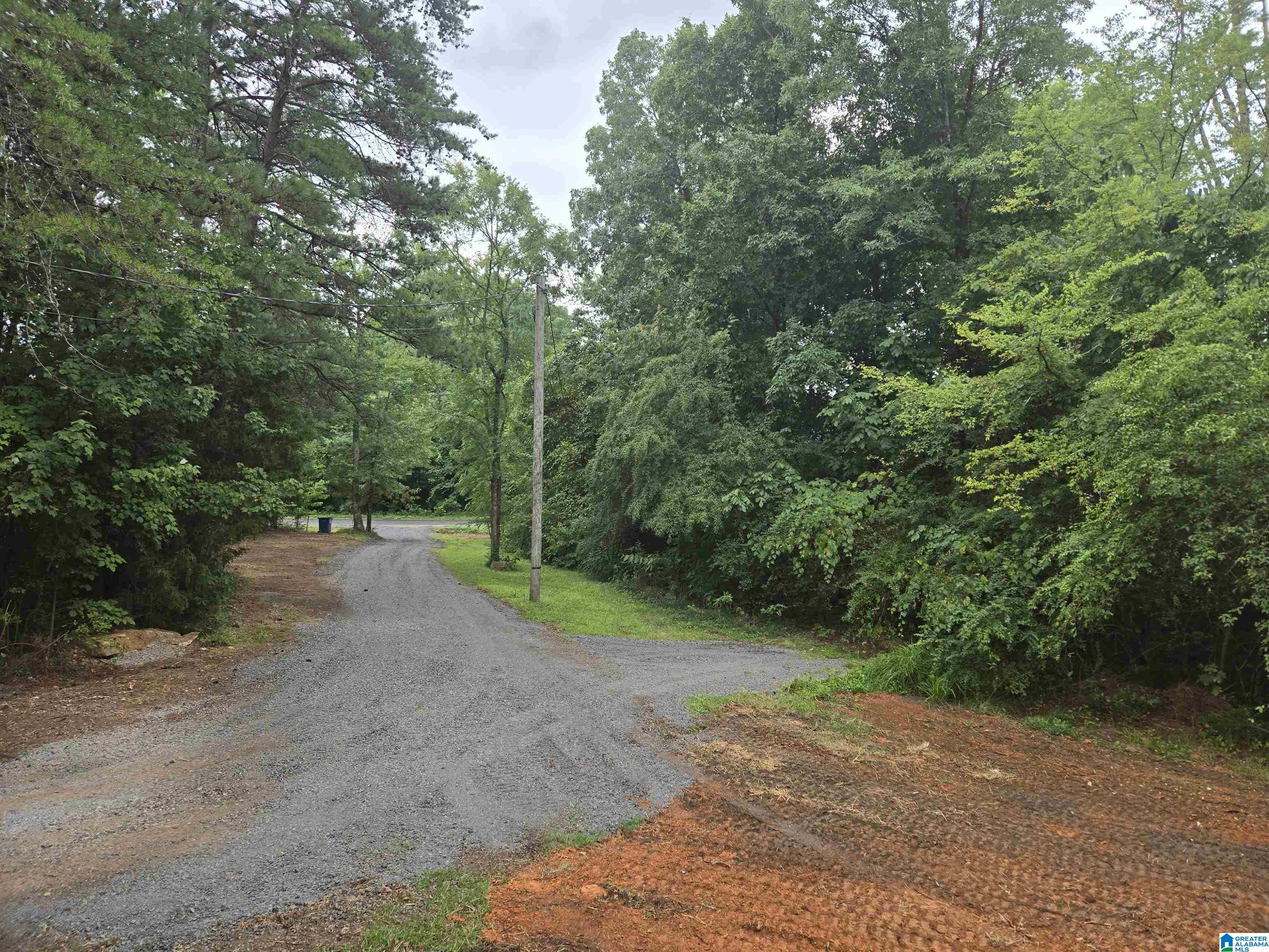 55 Wet Cat Road Hayden, AL 35079 - Photo 18 of 21