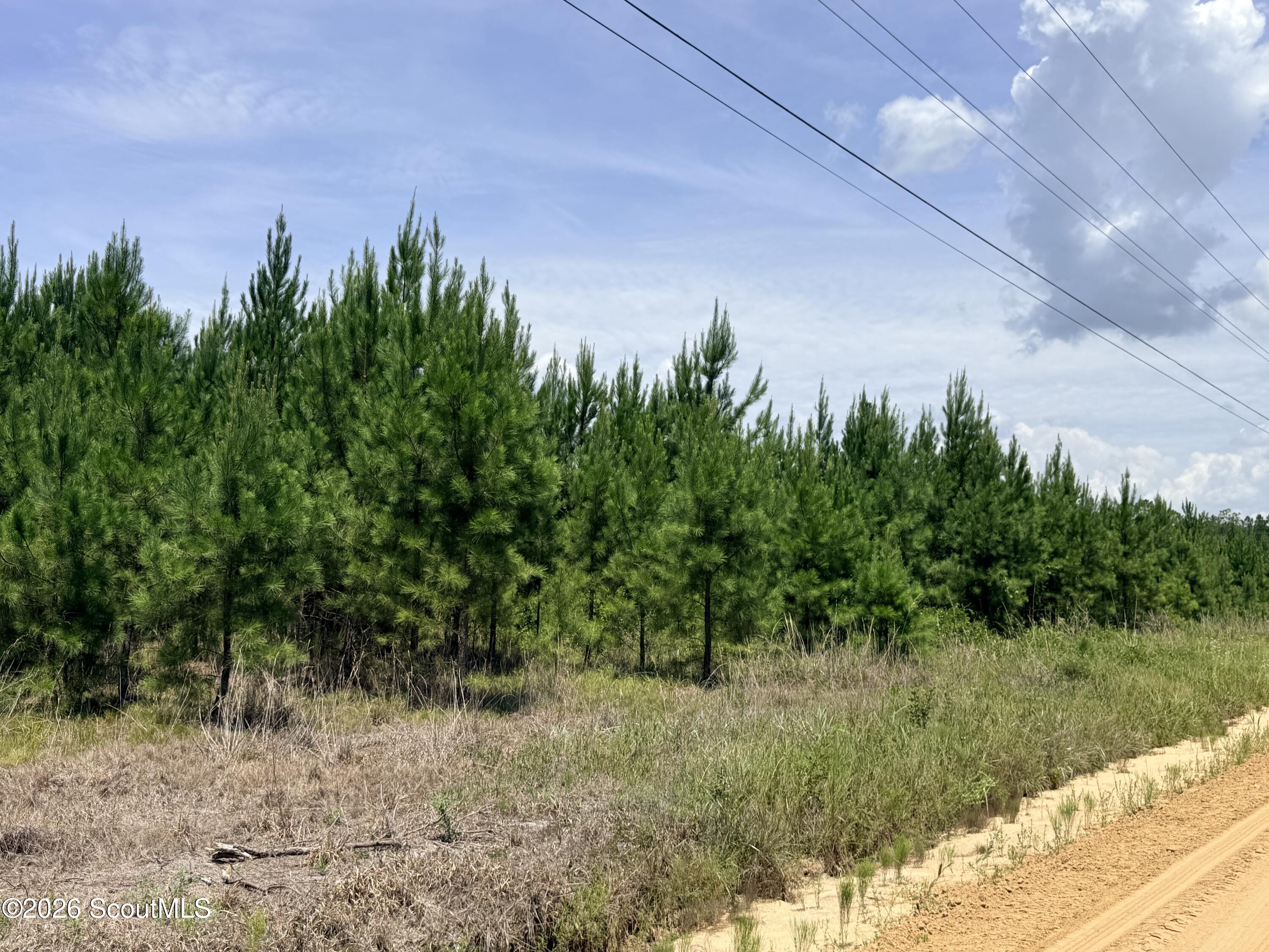 1 Nursery Road Jesup, GA 31546 - Photo 1 of 2 IMG_1738