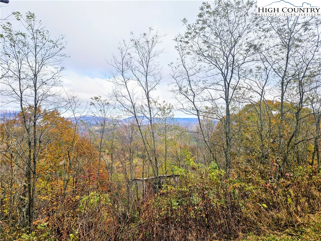 a view of lake with green space