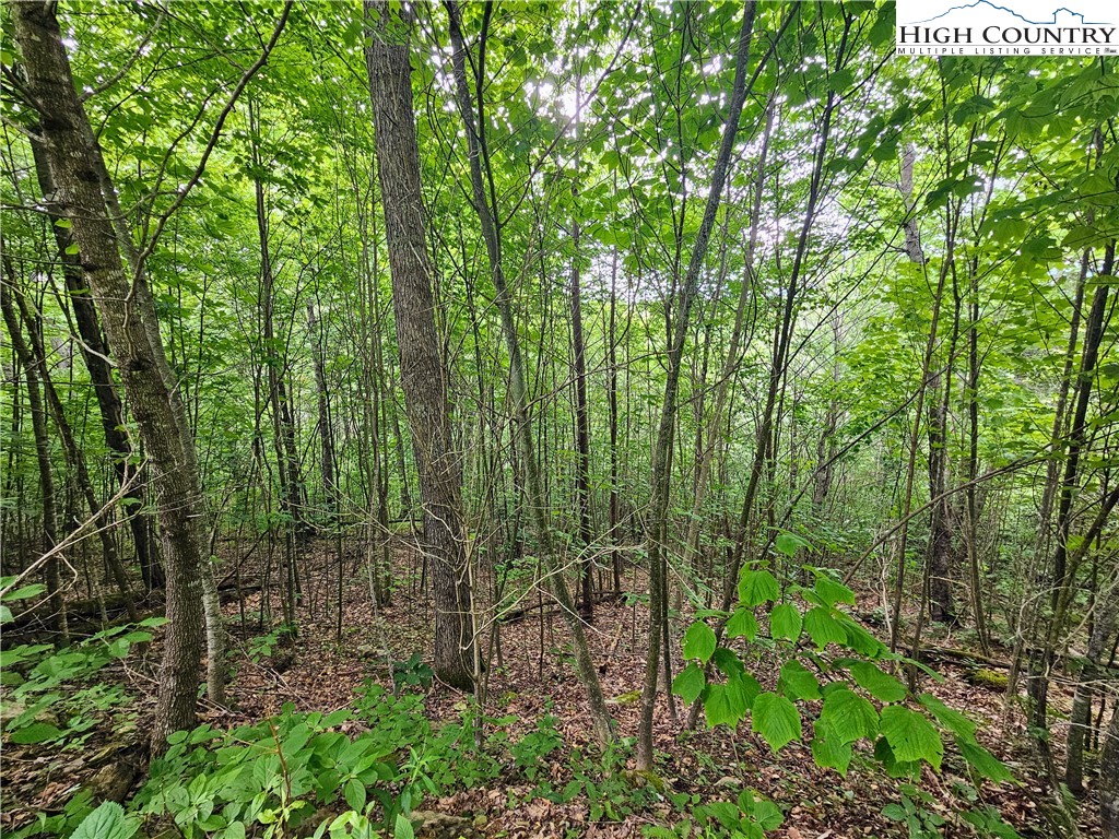 851 East Whenlin Ridge Road Lansing, NC 28643 - Photo 11 of 14 a view of a garden