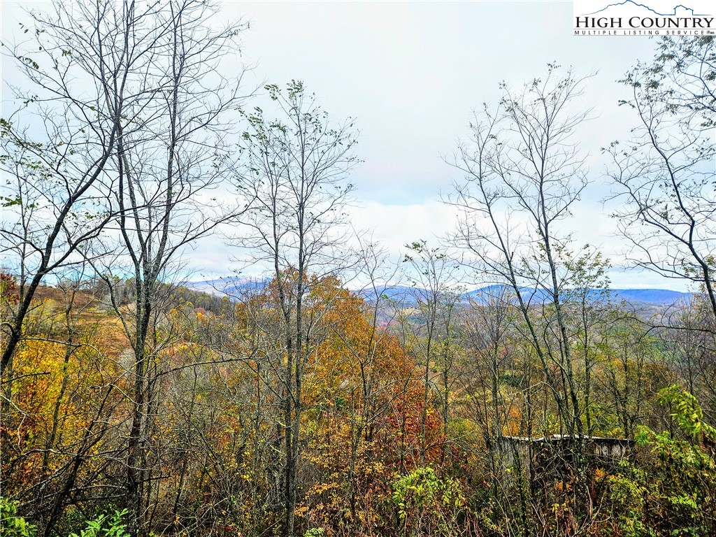 851 East Whenlin Ridge Road Lansing, NC 28643 - Photo 4 of 14 a view of a yard covered with snow