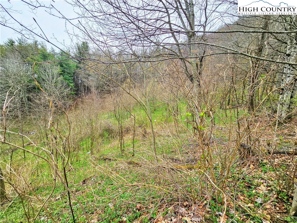 851 East Whenlin Ridge Road Lansing, NC 28643 - Photo 6 of 14 a view of a yard