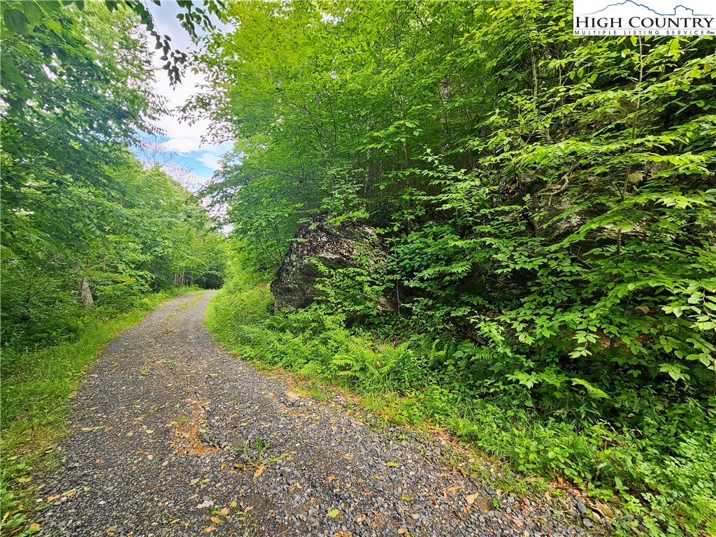 851 East Whenlin Ridge Road Lansing, NC 28643 - Photo 10 of 14 a view of a garden with plants