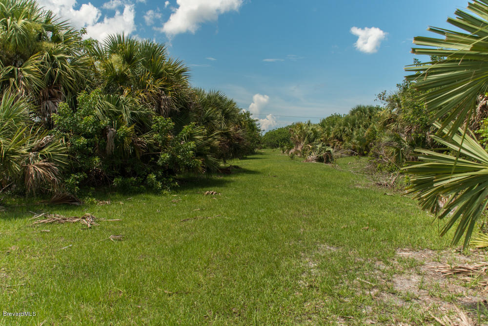 4100 Grant Road Grant, FL 32949 - Photo 3 of 21 Grant Road 1