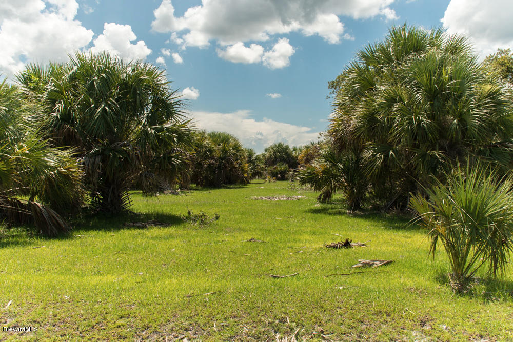 4100 Grant Road Grant, FL 32949 - Photo 4 of 21 med-26