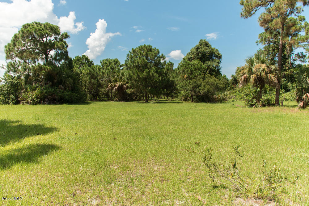 4100 Grant Road Grant, FL 32949 - Photo 7 of 21 med-18