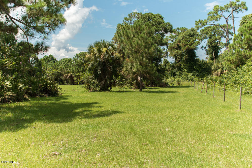 4100 Grant Road Grant, FL 32949 - Photo 8 of 21 med-17
