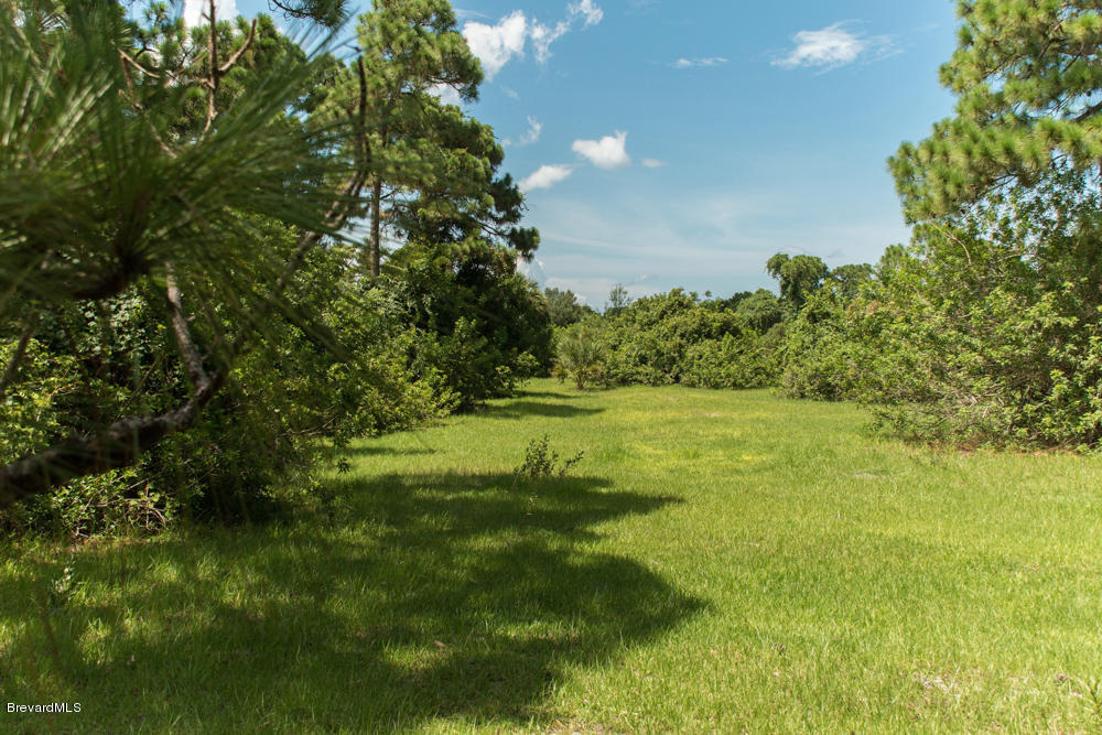 4100 Grant Road Grant, FL 32949 - Photo 9 of 21 med-16