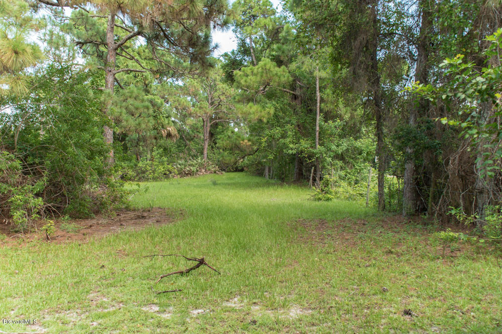 4100 Grant Road Grant, FL 32949 - Photo 10 of 21 med-14