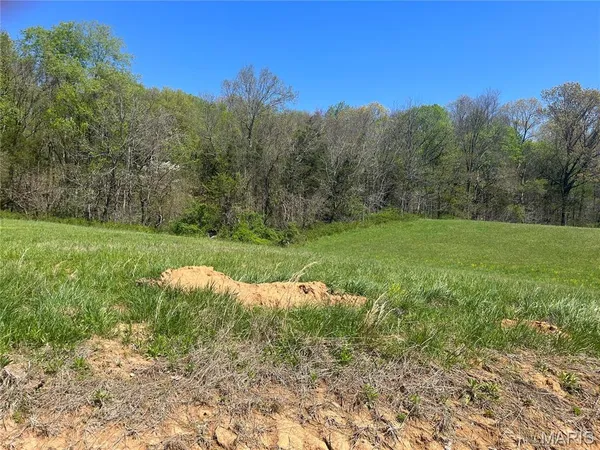 $50,000 | 6 Cr 528 Fredericktown Mo 63645, Fredericktown, MO 63645
