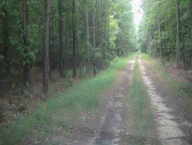 0 Poplar Cove Road, Unit 75 Onancock, VA 23417 - Photo 2 of 9