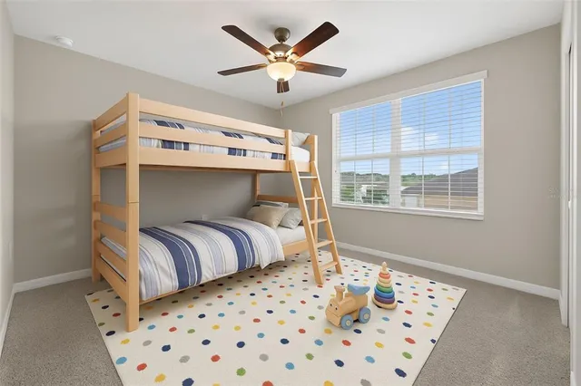 a view of a field with a tree