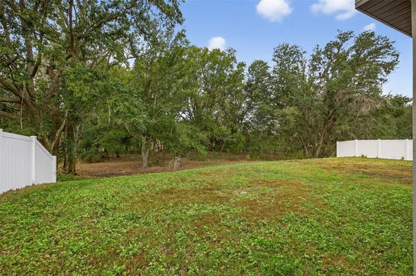 a view of a field with a tree