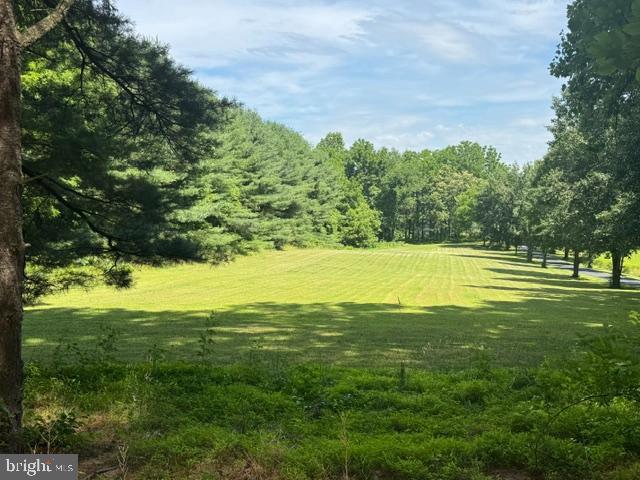 Beautiful view of lot from the road