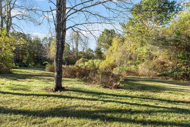 a view of a yard with plants and trees