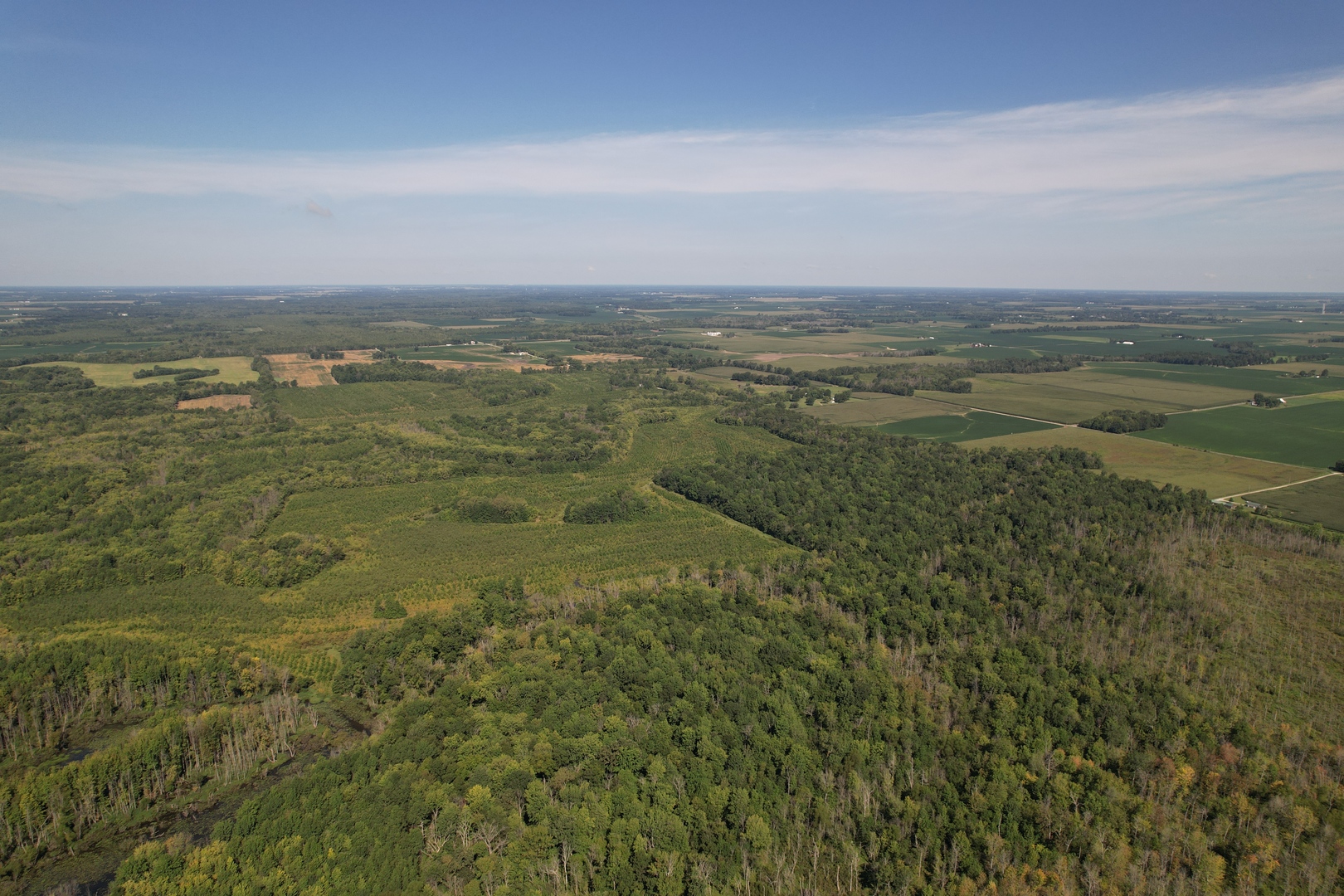 Tract 2 Mint Lane Clay City, IL 62824 - Photo 11 of 24 a view of an ocean