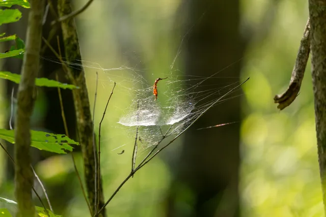 a view of a swimming pool