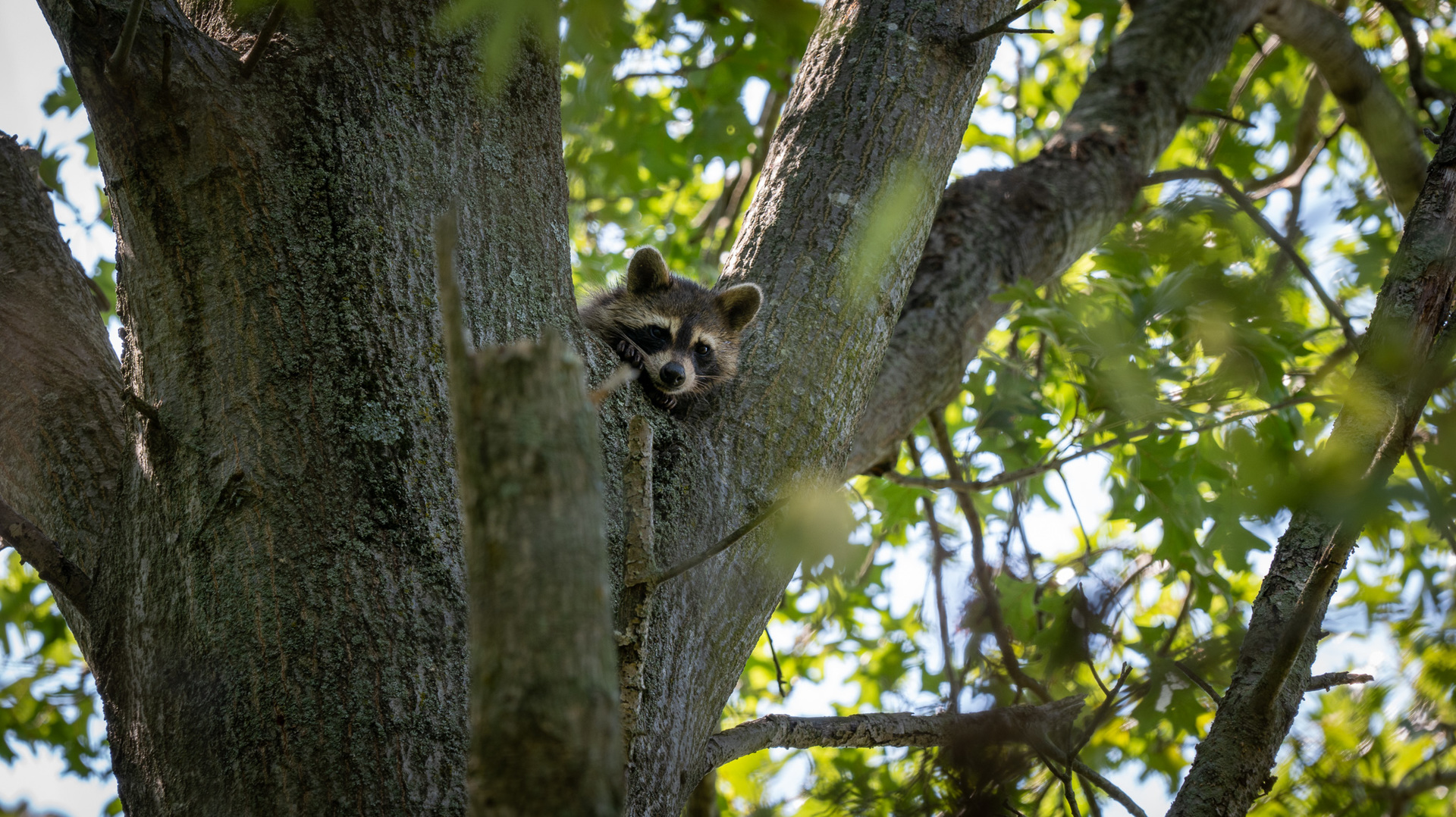 Tract 2 Mint Lane Clay City, IL 62824 - Photo 21 of 24