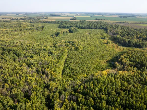 a view of lake with mountain