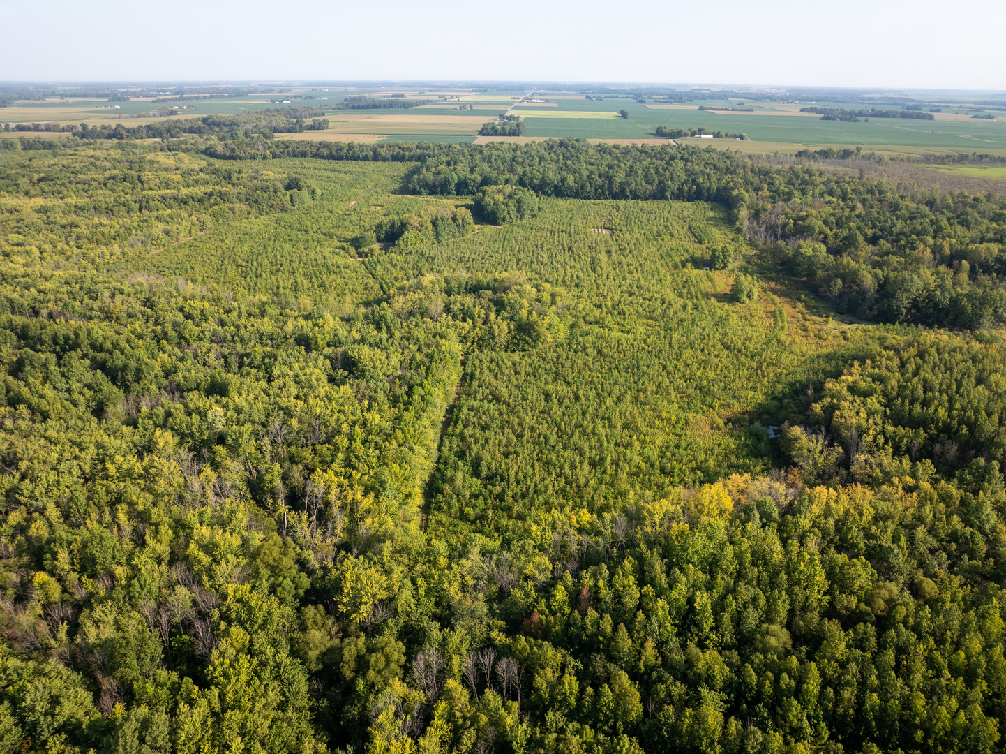 Tract 2 Mint Lane Clay City, IL 62824 - Photo 3 of 24 a view of lake with mountain