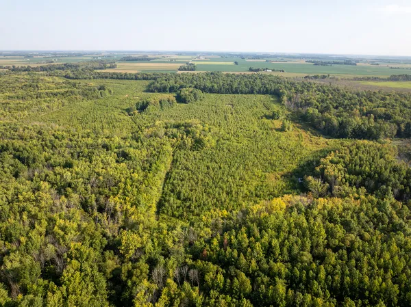 a view of a field with an ocean