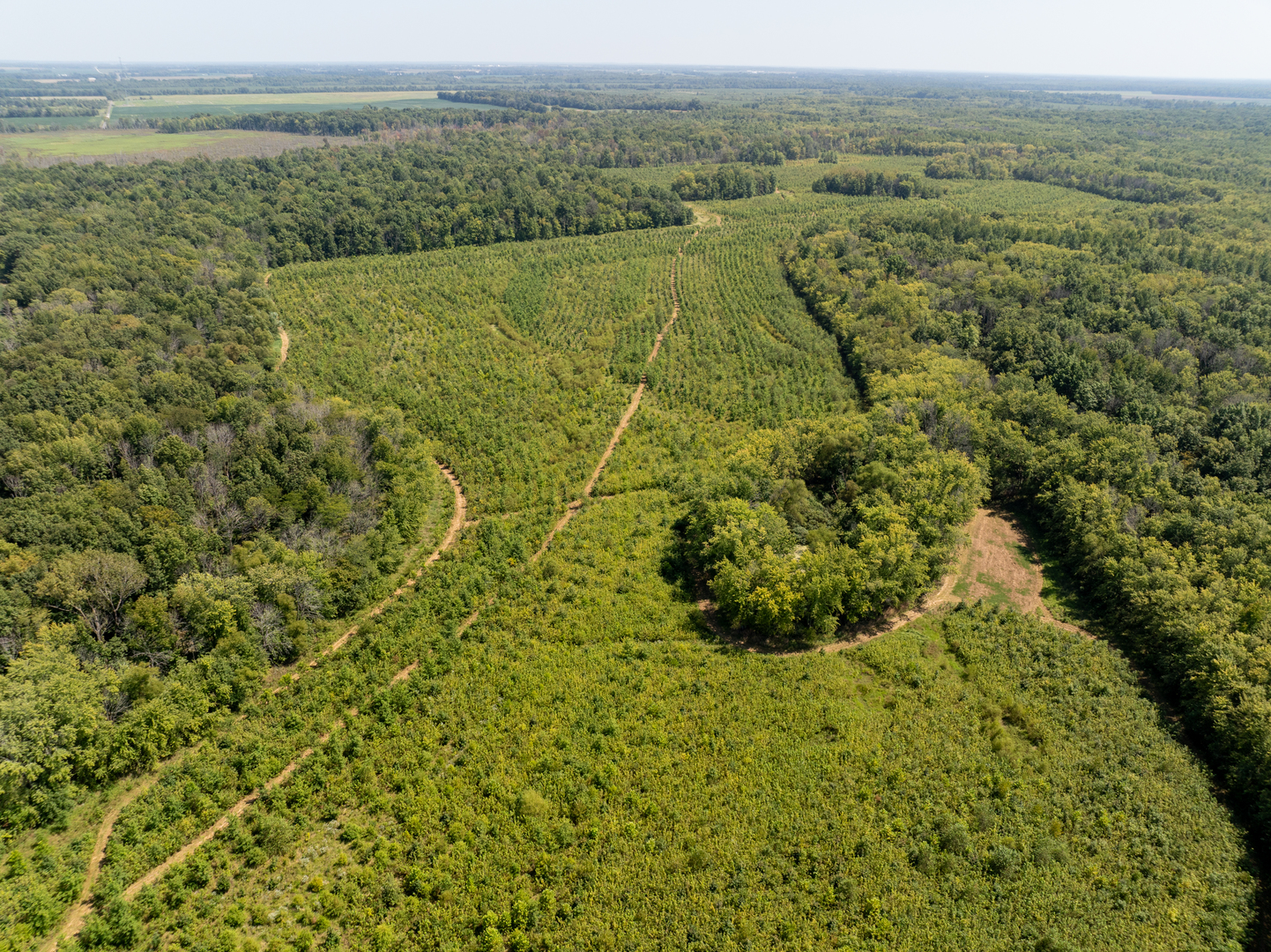 Tract 2 Mint Lane Clay City, IL 62824 - Photo 6 of 24 a view of a lake with a mountain