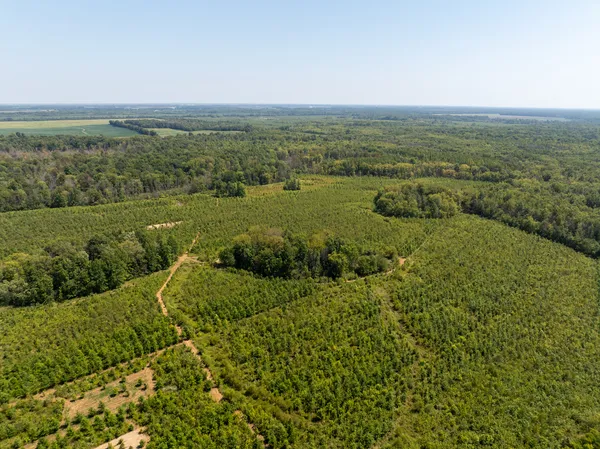 a view of a city with a lake