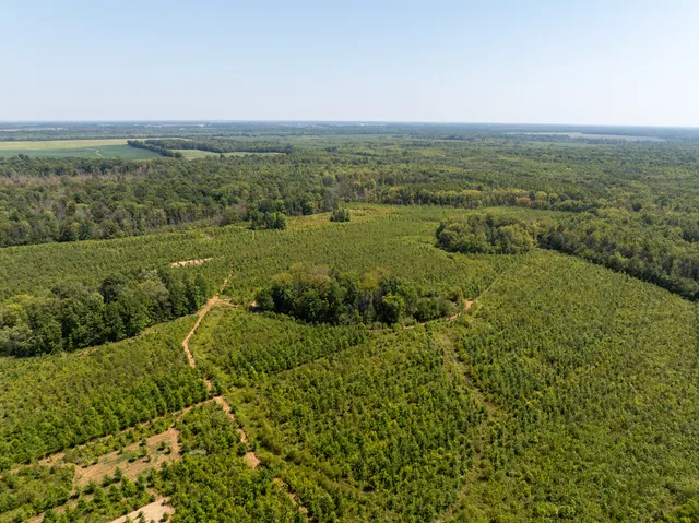 a view of a city with a lake