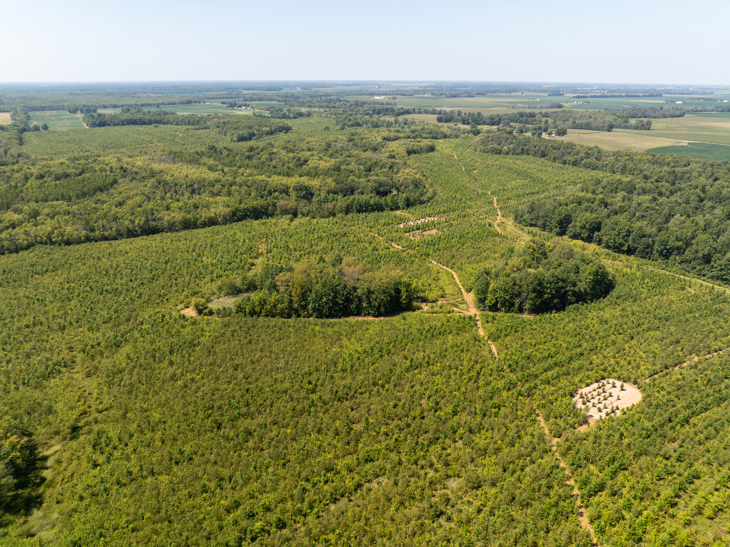 Tract 2 Mint Lane Clay City, IL 62824 - Photo 9 of 24 a view of a city