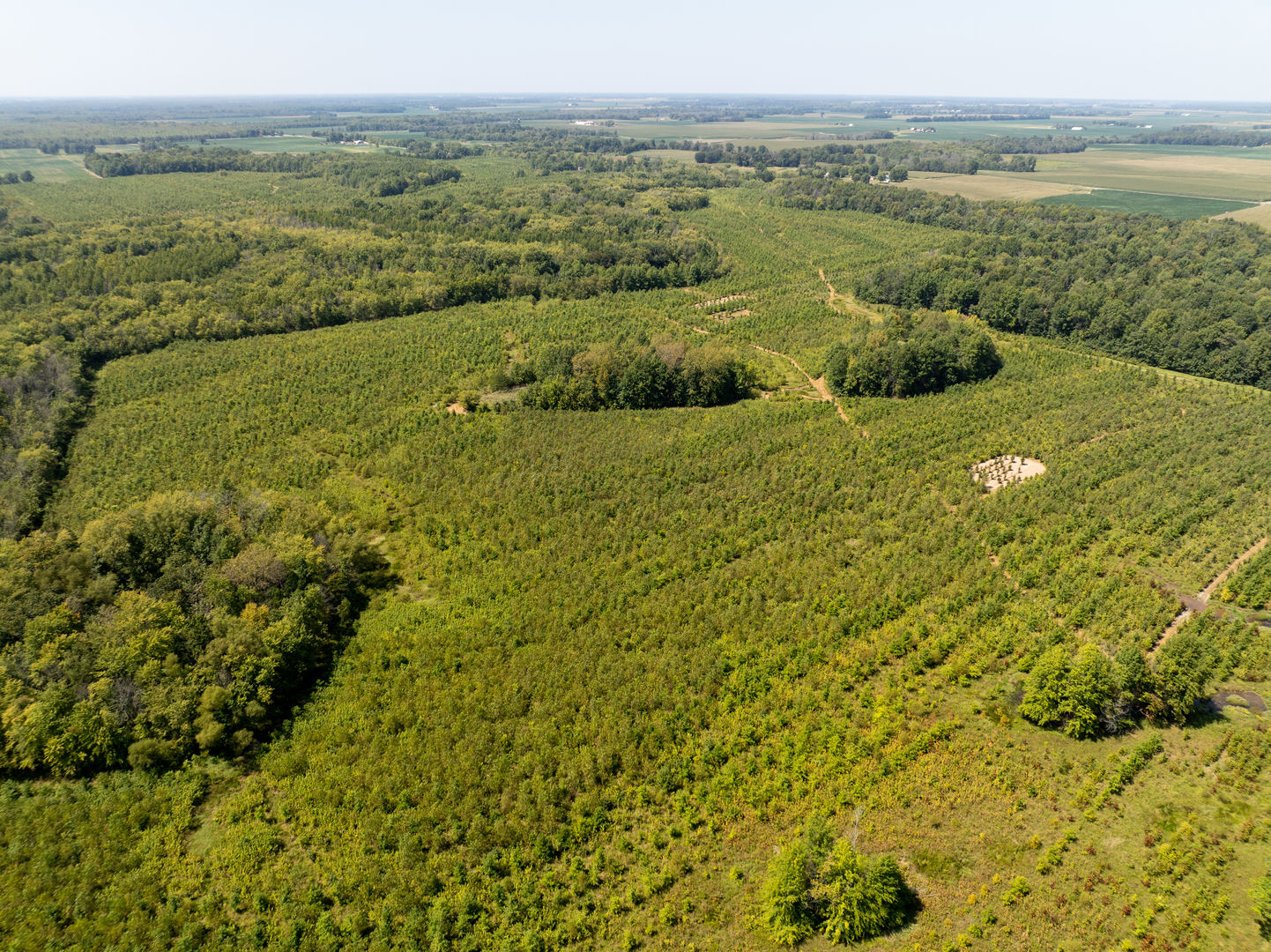 Tract 2 Mint Lane Clay City, IL 62824 - Photo 10 of 24 a view of lake with mountain