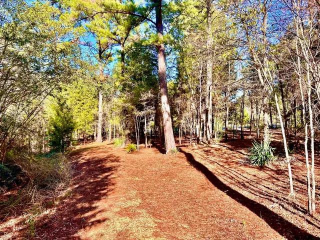 a view of road with trees