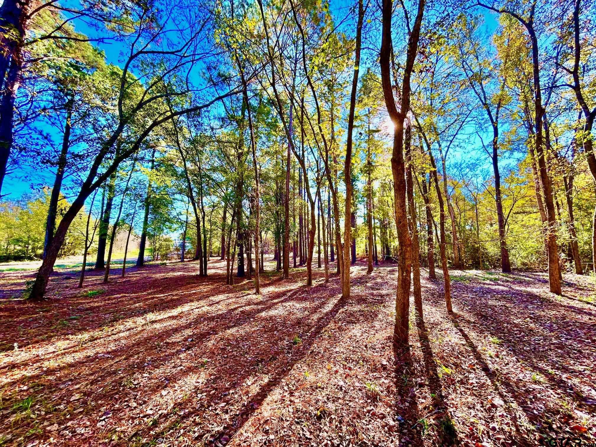 5395 Grand View Drive Athens, TX 75752 - Photo 11 of 21 a view of a backyard with trees