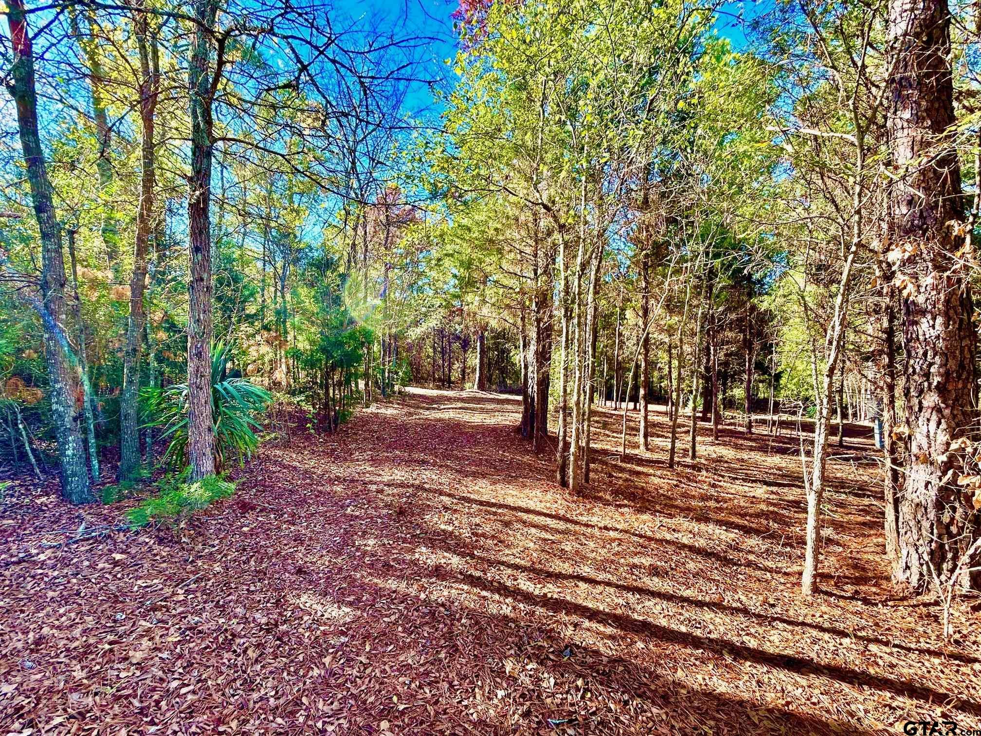 5395 Grand View Drive Athens, TX 75752 - Photo 12 of 21 a view of a yard with trees