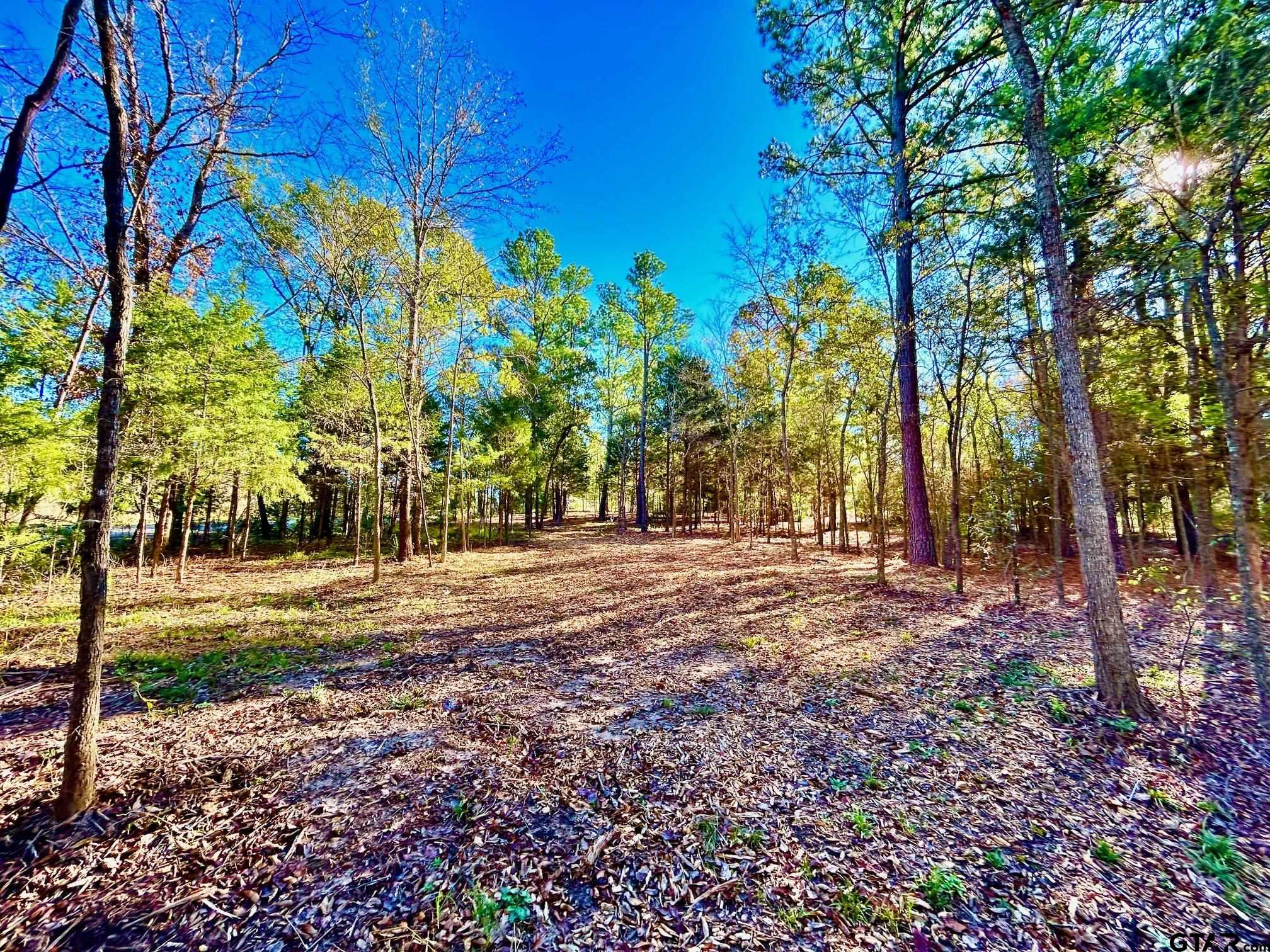 5395 Grand View Drive Athens, TX 75752 - Photo 13 of 21 a view of a tree in front of a house