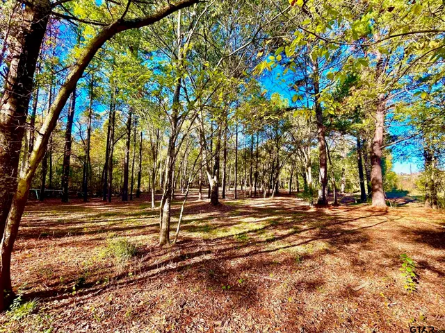 a view of yard with large trees