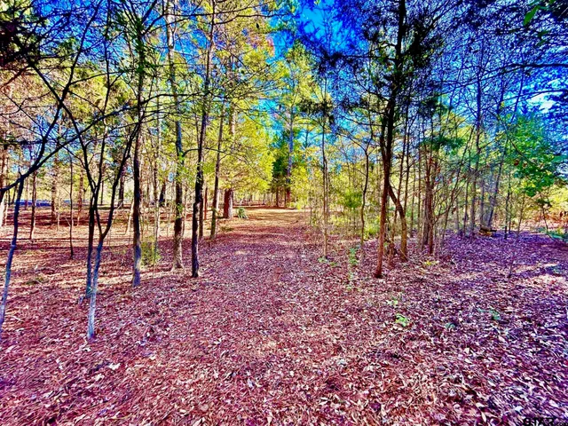 a view of swimming pool with an outdoor space